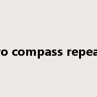 gyro compass repeater是什么意思