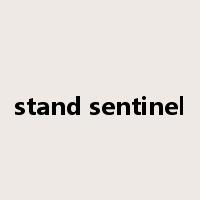 stand sentinel是什么意思