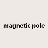 magnetic pole是什么意思