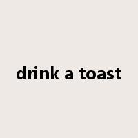 drink a toast是什么意思