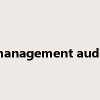 management audit是什么意思