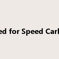 Need for Speed Carbon是什么意思