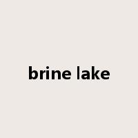 brine lake是什么意思