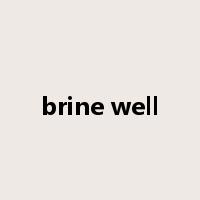 brine well是什么意思