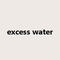 excess water是什么意思