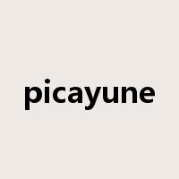 picayune是什么意思