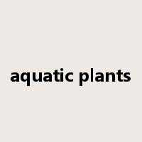 aquatic plants是什么意思