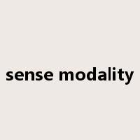 sense modality是什么意思