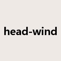 head-wind是什么意思