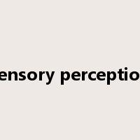 sensory perception是什么意思