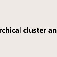 hierarchical cluster analysis是什么意思