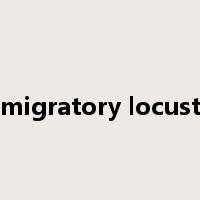 migratory locust是什么意思
