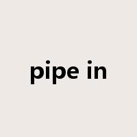 pipe in是什么意思