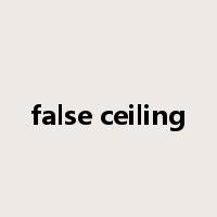 false ceiling是什么意思