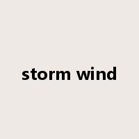 storm wind是什么意思
