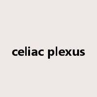 celiac plexus是什么意思