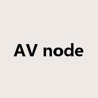 AV node是什么意思