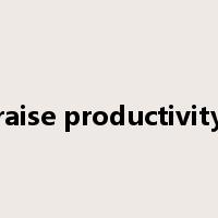 raise productivity是什么意思