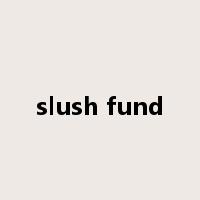slush fund是什么意思