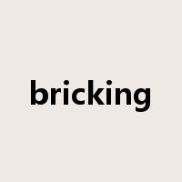 bricking是什么意思