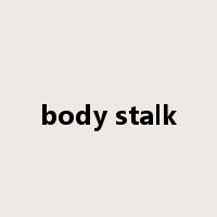 body stalk是什么意思