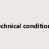 technical conditions是什么意思