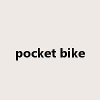 pocket bike是什么意思