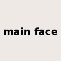 main face是什么意思