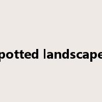 potted landscape是什么意思