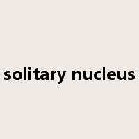 solitary nucleus是什么意思