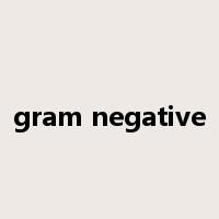 gram negative是什么意思