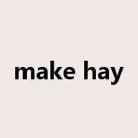 make hay是什么意思
