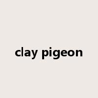 clay pigeon是什么意思