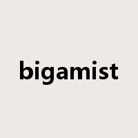 bigamist是什么意思