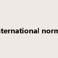 international norms是什么意思