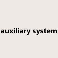 auxiliary system是什么意思