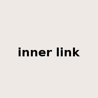 inner link是什么意思