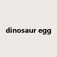 dinosaur egg是什么意思