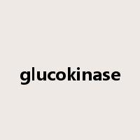 glucokinase是什么意思