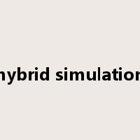 hybrid simulation是什么意思