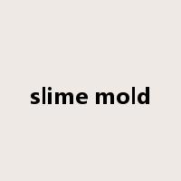 slime mold是什么意思