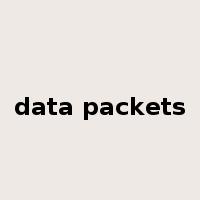 data packets是什么意思