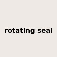 rotating seal是什么意思