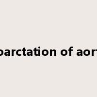 coarctation of aorta是什么意思