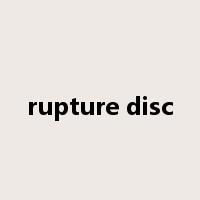 rupture disc是什么意思