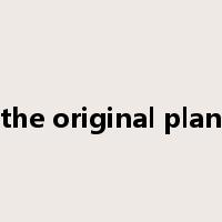 the original plan是什么意思