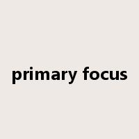 primary focus是什么意思