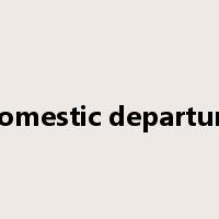 domestic departure是什么意思