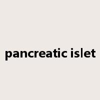 pancreatic islet是什么意思