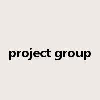 project group是什么意思